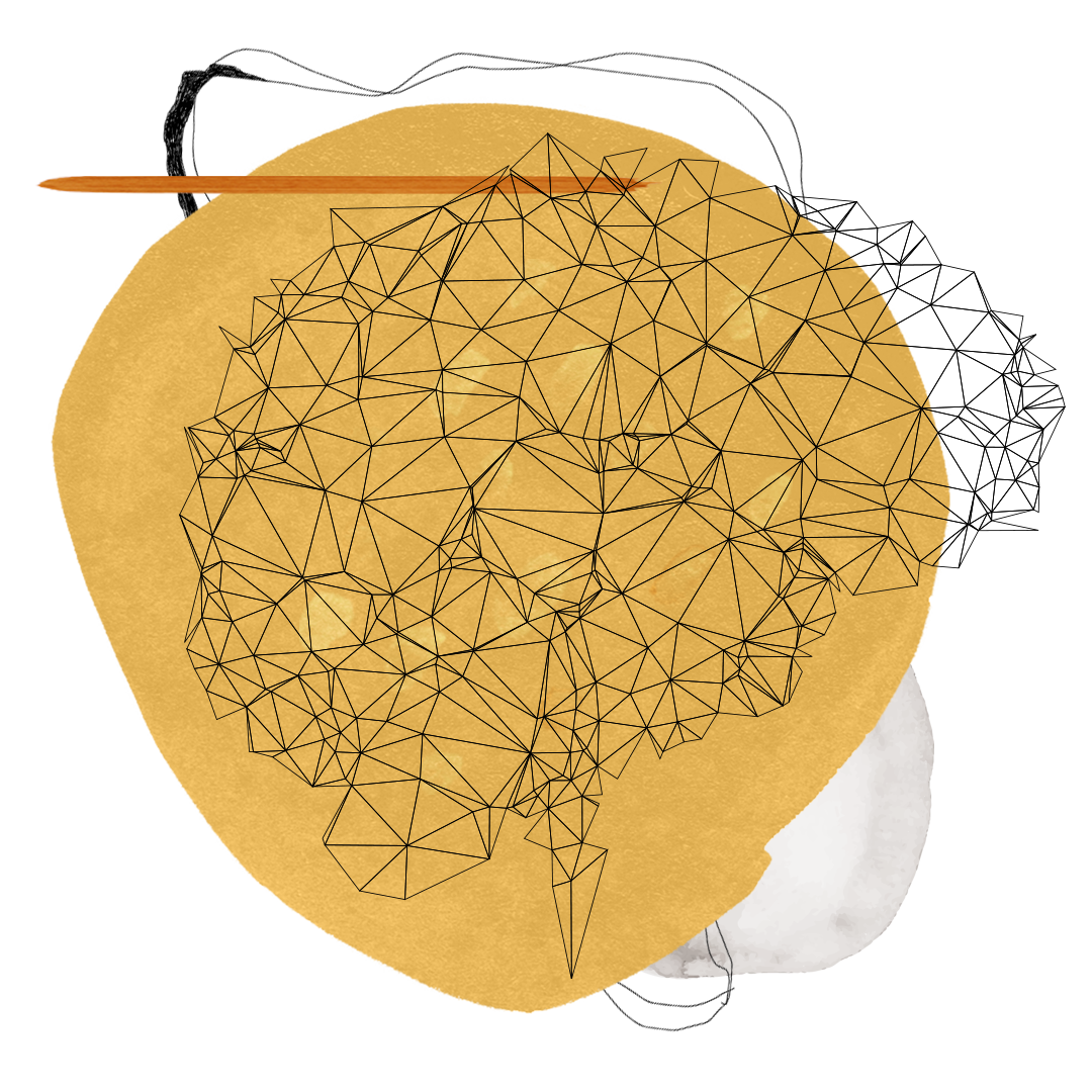 neuroplasticite-V2