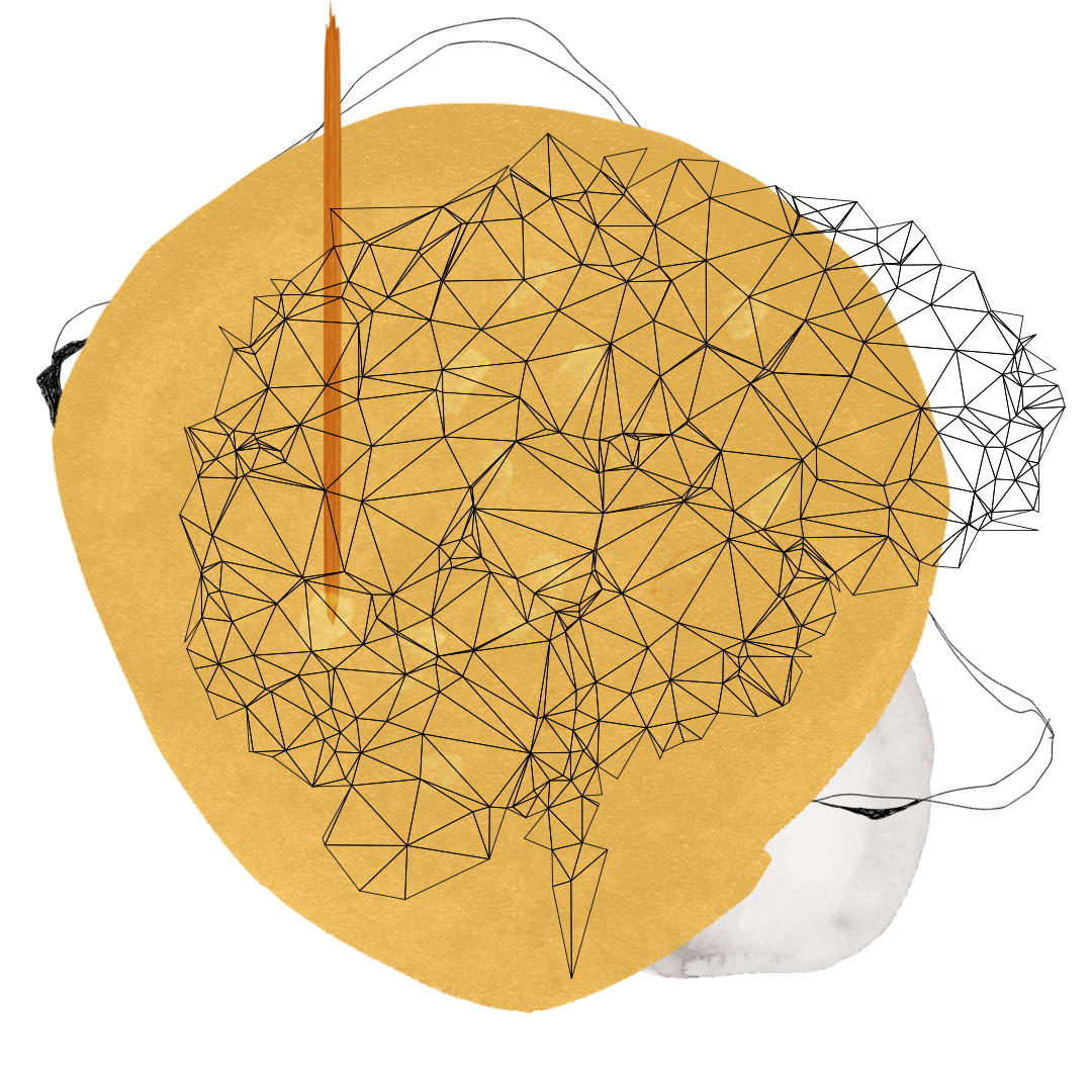neuroplasticite